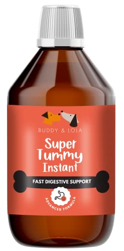 Buddy & Lola Fast-Acting Dog Diarrhea Treatment with Electrolytes - 20 Servings - Tummy Settler For Dogs All Breeds, Sizes and Ages - Syringe Included