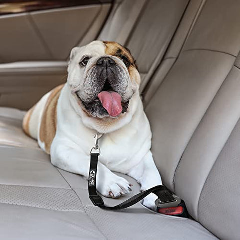 Adjustable Dog Safety Belt for Car-Dog Seat Belt for Car -Dog Car Harness | Pet Travel Accessories