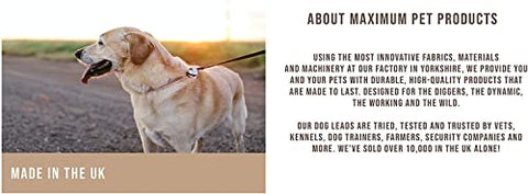 Maximum Pet Products 65ft 20M Dog & Horse Training Lunge Lead. 25mm - 1