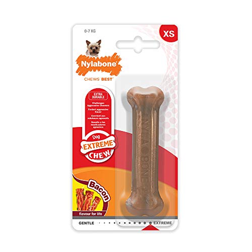 Nylabone Dura Chew Extreme Tough Dog Chew Toy Bone, Bacon Flavour, XS, for Dogs Up to 7 kg