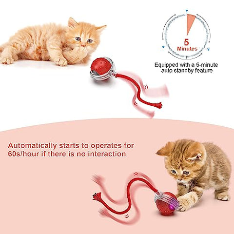 IOKHEIRA Interactive Cat Toy Electric Automatic Cat Toys for Indoor Cats,Rechargeable Irregular Moving Cat Toys,Stimulate Cats' Hunting Instincts, for Indoor Cats Adult,All Floors & Carpet Available