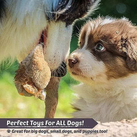 Newthinking No Stuffing Dog Toys, 5 Pack Dog Squeaky Toys, Durable Plush Dog Toys for Large Medium Small Dog