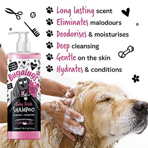 BUGALUGS Baby Fresh Dog Shampoo 500ml dog grooming shampoo products for smelly dogs with baby powder scent, best puppy shampoo baby fresh, shampoo conditioner, Vegan pet shampoo professional