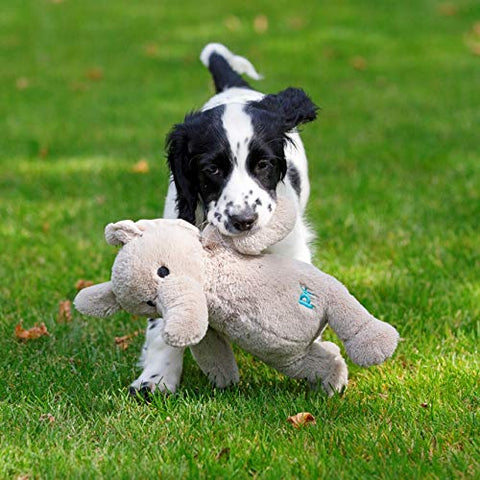 Petface (Little Petface) Freddi Cord, Plush Puppy Dog Toy
