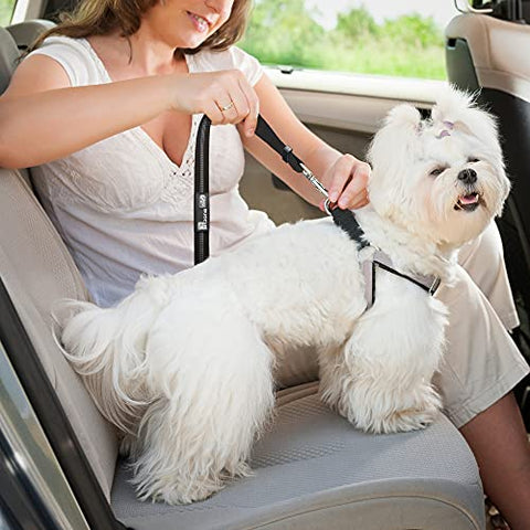 Dog Seat Belts for Cars UK, 2 Pack Premium Car Seat Belt for Dogs Cats Pets, Adjustable Safety Heavy Duty Elastic Lead Harness for Cars with Elastic Nylon Bungee Buffer