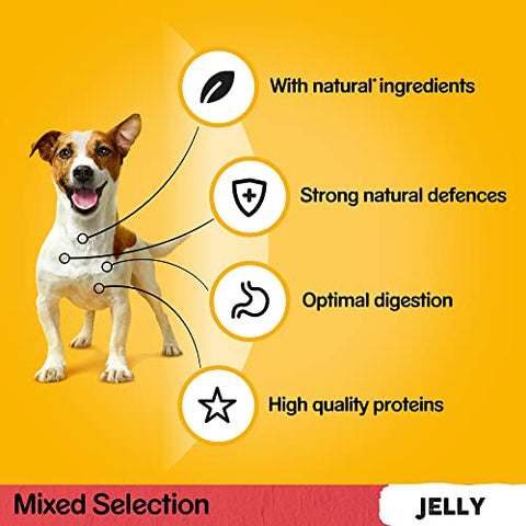 Pedigree Mixed Selection in Jelly 40 Pouches, Adult Wet Dog Food, Megapack (40 x 100 g)