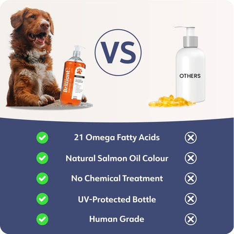 Brilliant Salmon Oil for Dogs, Cats, Puppy, Horse, Ferret & Pets - Pure Omega 3, 6 & 9 Fish Oil Food Supplement | Treats Itchy Skin, Joint Care, Heart Health & Natural Coat Hofseth BioCare