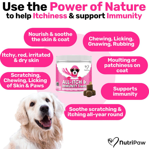 NutriPaw All-Itch Immunity Treats For Dogs - Soothe Itchy Paws, Eyes, Ears, Skin - Stop Itching, Licking, Scratching - Perfect for Small, Medium & Large Dogs - Supports Seasonal Itching